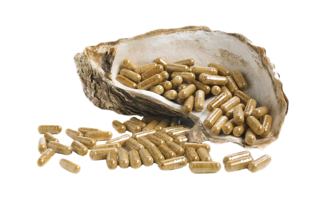 OysterMax ~ Pure Oyster Capsules